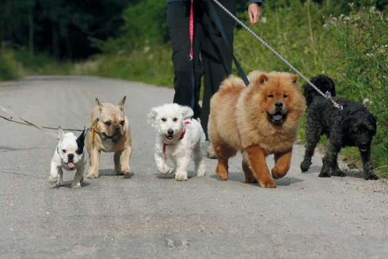 La pension pour des vacances sereines