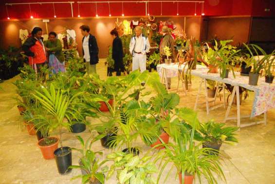 Les Floralies ont éclos