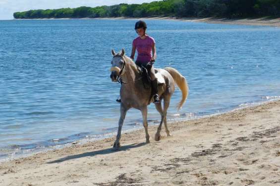 Le site de Déva séduit les cavaliers