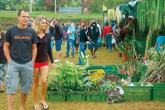 Une alliance ethnique