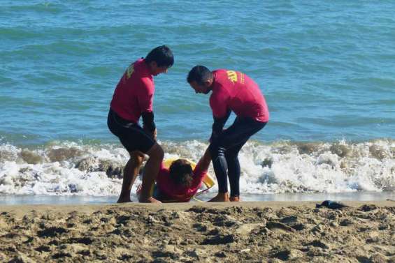 Au sommet de la vague