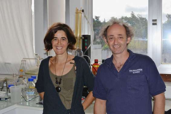 Le Pacifique Sud pour terrain de jeu