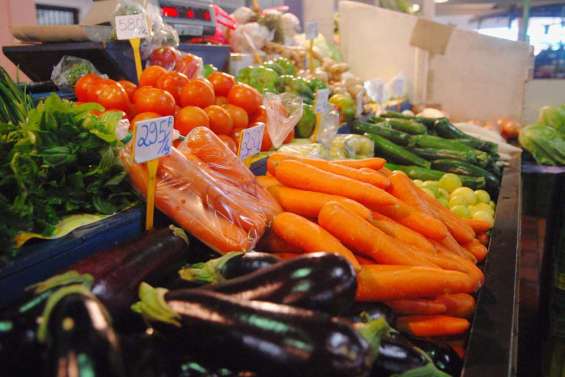 « Imaginer une vraie politique agricole »