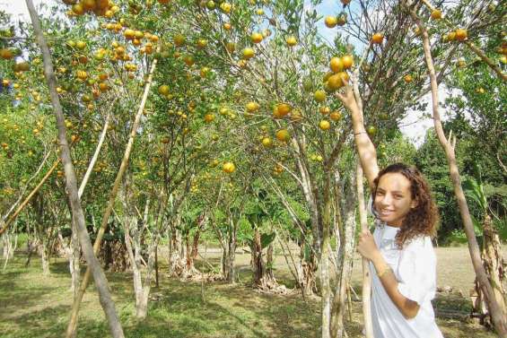 La commune est dans le jus