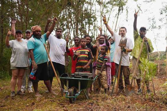 Les pinus dans le collimateur