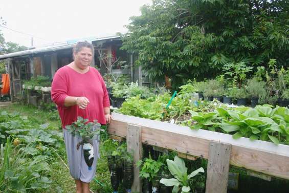 Nat et le potager recyclé