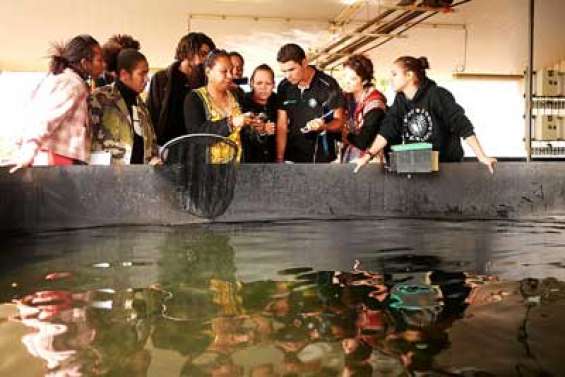 Ils surfent sur l'aquaculture