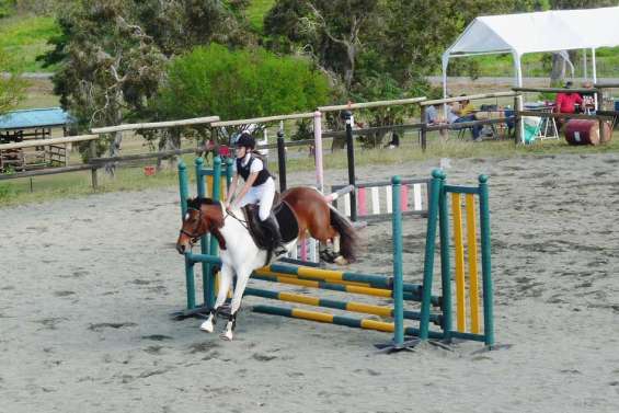 Les performances au rendez-vous