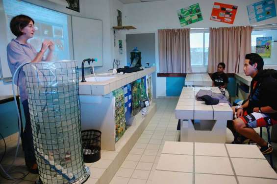 Première plongée au cœur des métiers