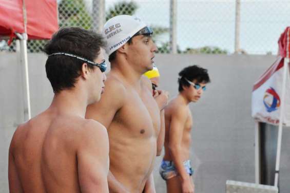 Petit bassin, grande famille