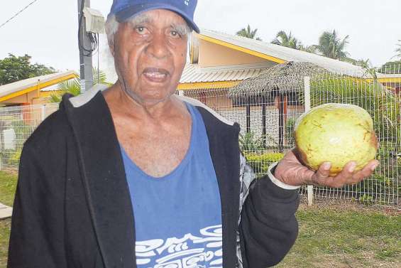 Une goyave à partager