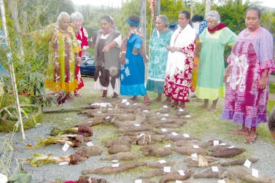 Week-end pieux à Méhoué