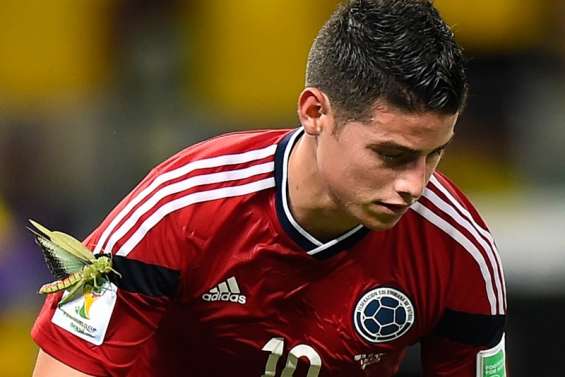 James attaqué par une grosse bête