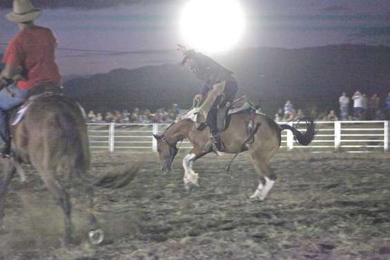 Le cheval à la fête