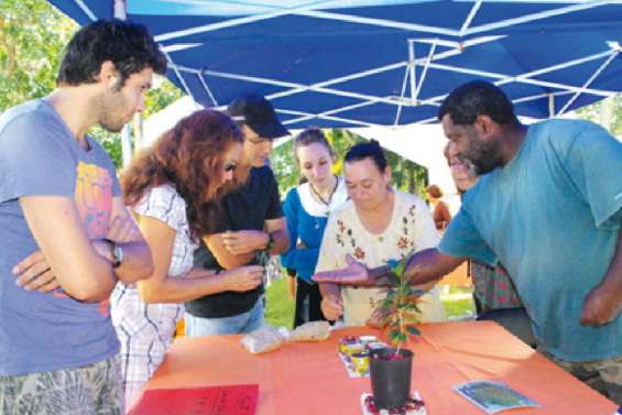 De la cerise à la tasse