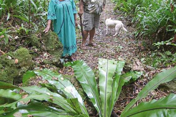 Sur le sentier du pahatr 