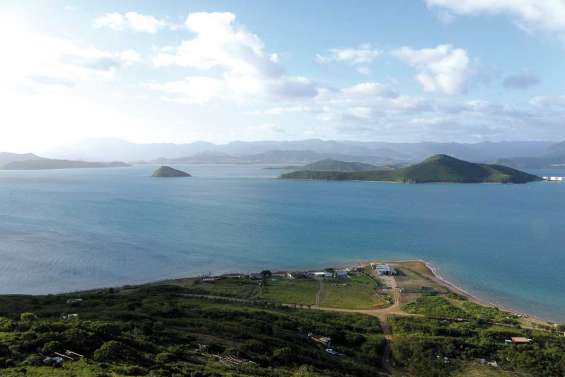 Une sortie très nature à Nouméa