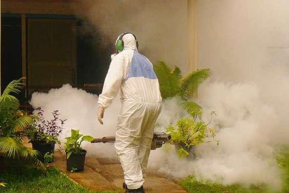 Le Zika ne faiblit pas