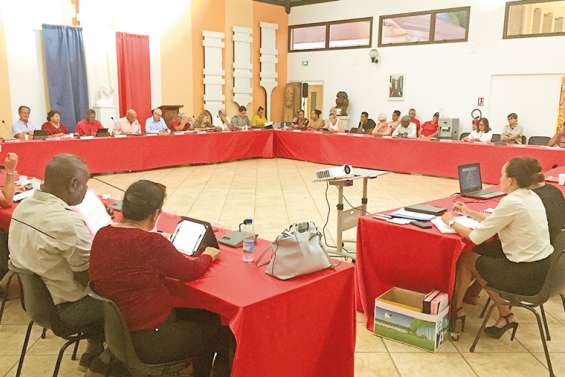 Tanéo s’ajuste, Wolbachia en retard et des subventions