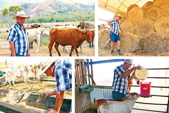 Sécheresse : l’angoisse du monde agricole