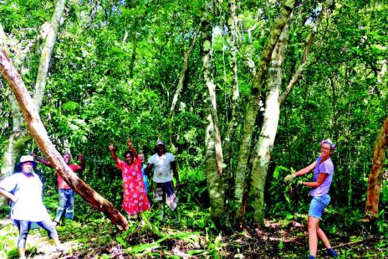 Un site de repli tsunami réhabilité