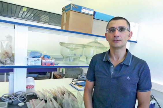 « Des sites miniers éloignés peuvent contribuer à la dégradation de la qualité de l’air »