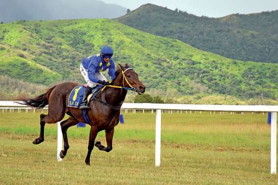 Premier jour de Classiques pour  les chevaux sur l’hippodrome de Téné