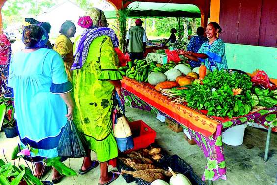 Hnasisa, un savoir-faire agricole inédit