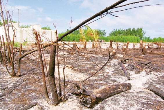 Impact des essais nucléaires : une commission en sursis