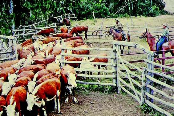 La vie des stations d’élevage, de 1860 à nos jours