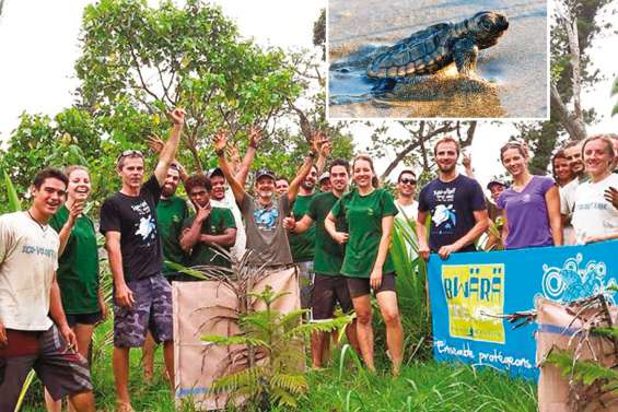 De nouvelles tortues grosse tête viennent pondre à la Roche-Percée