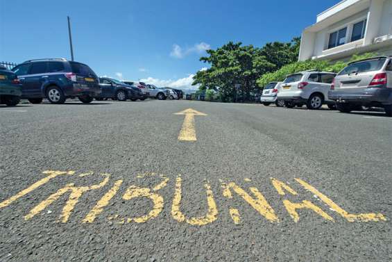 Le papa fait pousser du cannabis, sa femme entretient les plantes et son petit frère deale