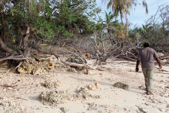 La Calédonie présente au Forum virtuel des îles