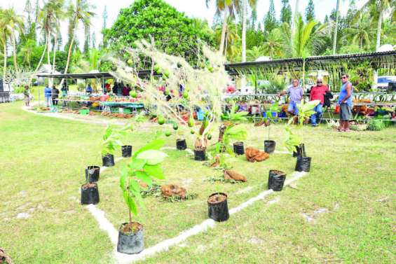 Dernière ligne droite avant la Fête de l’avocat