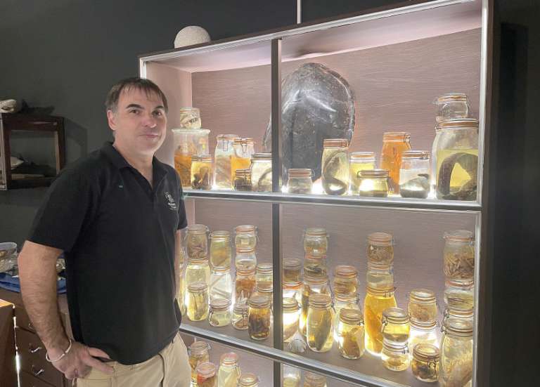 Le cabinet de curiosités du professeur Moriartus ouvre samedi à l'Aquarium