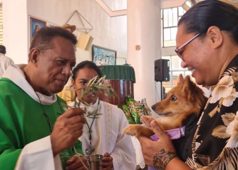 La messe honorant les animaux fait le plein