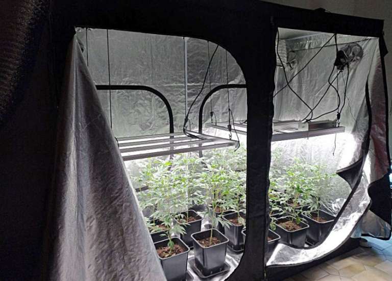 Au Mont-Mou, le juteux business d'une maison transformée en ferme à cannabis