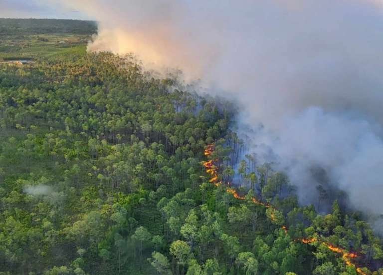 Feu de forêt à l’île des Pins : plus de 400 hectares partis en fumée