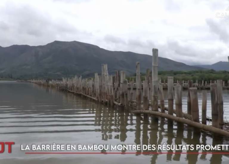 Thio solidaire envers ses habitants, une barrière en bambou dans la mangrove… Le JT de Caledonia du lundi 2 mars
