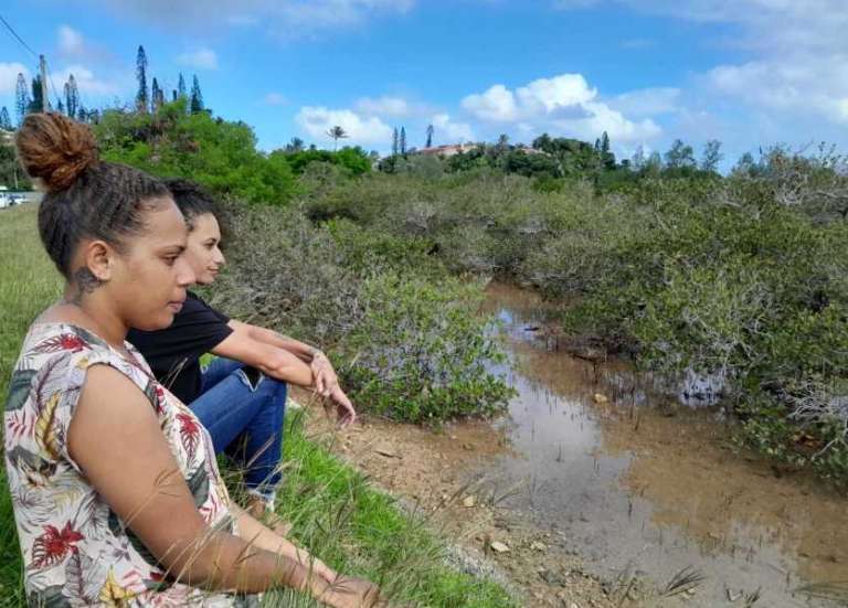 Ouémo : un chantier de destruction est lancé pour redonner vie à la mangrove