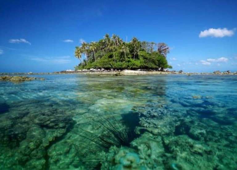 La Thaïlande ferme une île en raison du blanchissement des coraux