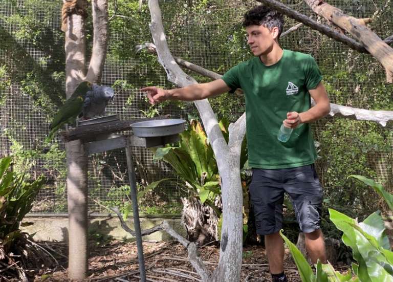 Le Parc forestier et les Grandes Fougères rouvrent mercredi au public