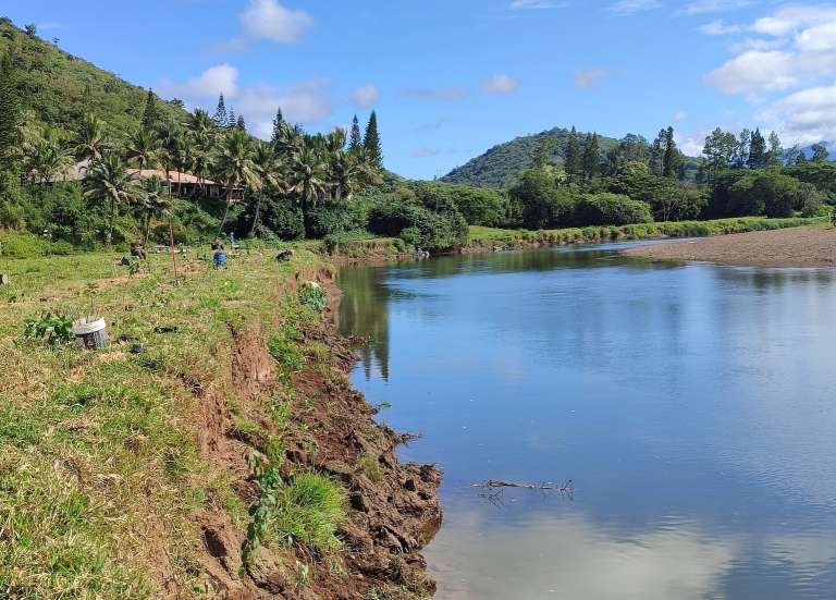 [MAGAZINE] Projet Perenne : un premier bilan très prometteur pour la restauration des berges de la Néra