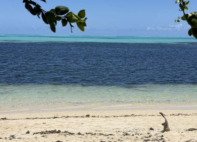 [AGENDA] Les idées de sorties pour ce week-end