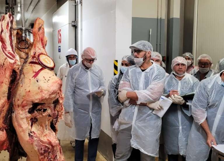 Une carcasse vendue 2,95 millions de francs à l'Ocef, un record