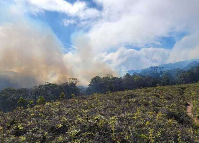 [MISE A JOUR] L'incendie de Dogny est maîtrisé