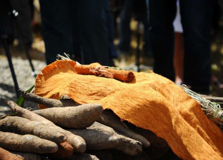 Échos du Pacifique : un programme pour conserver les civilisations océaniennes