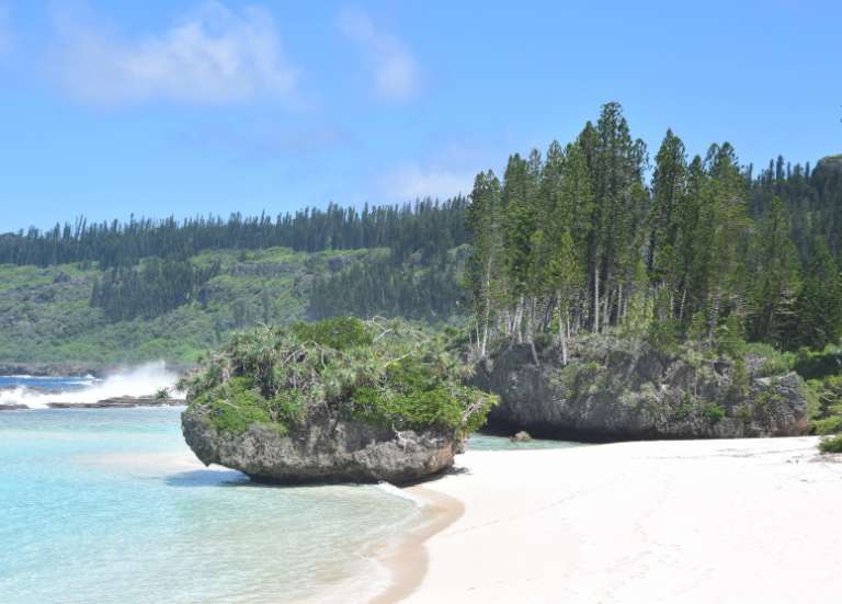 [Mise à jour] Plusieurs ballots de cocaïne découverts à Maré