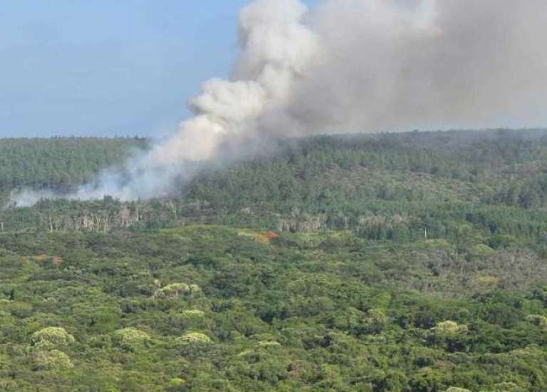 [Mise à jour] Incendie à l’île des Pins : 250 hectares partis en fumée, le plan Orsec activé