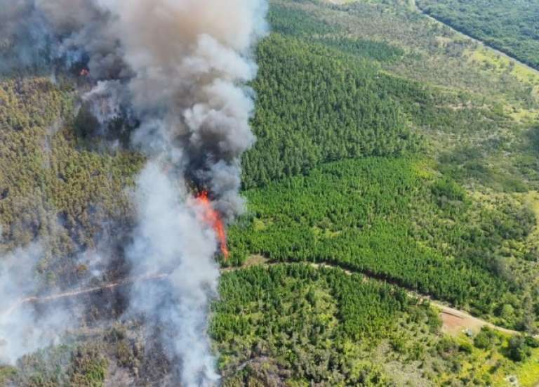 Près de 1 000 hectares partis en fumée à l’île des Pins